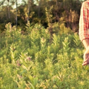 scott-webb-Z9ZCemctMLE-unsplash